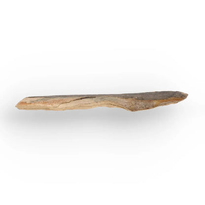 Get your Weathered Woolly Mammoth Tusk Fragment from Alaska Fossil online now or in store at Forever Gems in Franschhoek, South Africa