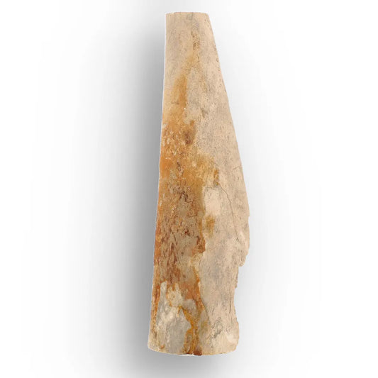Get your Woolly Mammoth Tusk Fossil Fragment from Alaska USA online now or in store at Forever Gems in Franschhoek, South Africa
