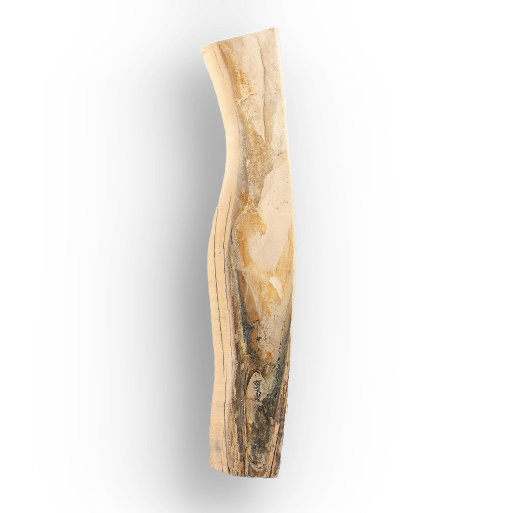 Get your Woolly Mammoth Tusk Fossil Fragment from Alaska USA online now or in store at Forever Gems in Franschhoek, South Africa