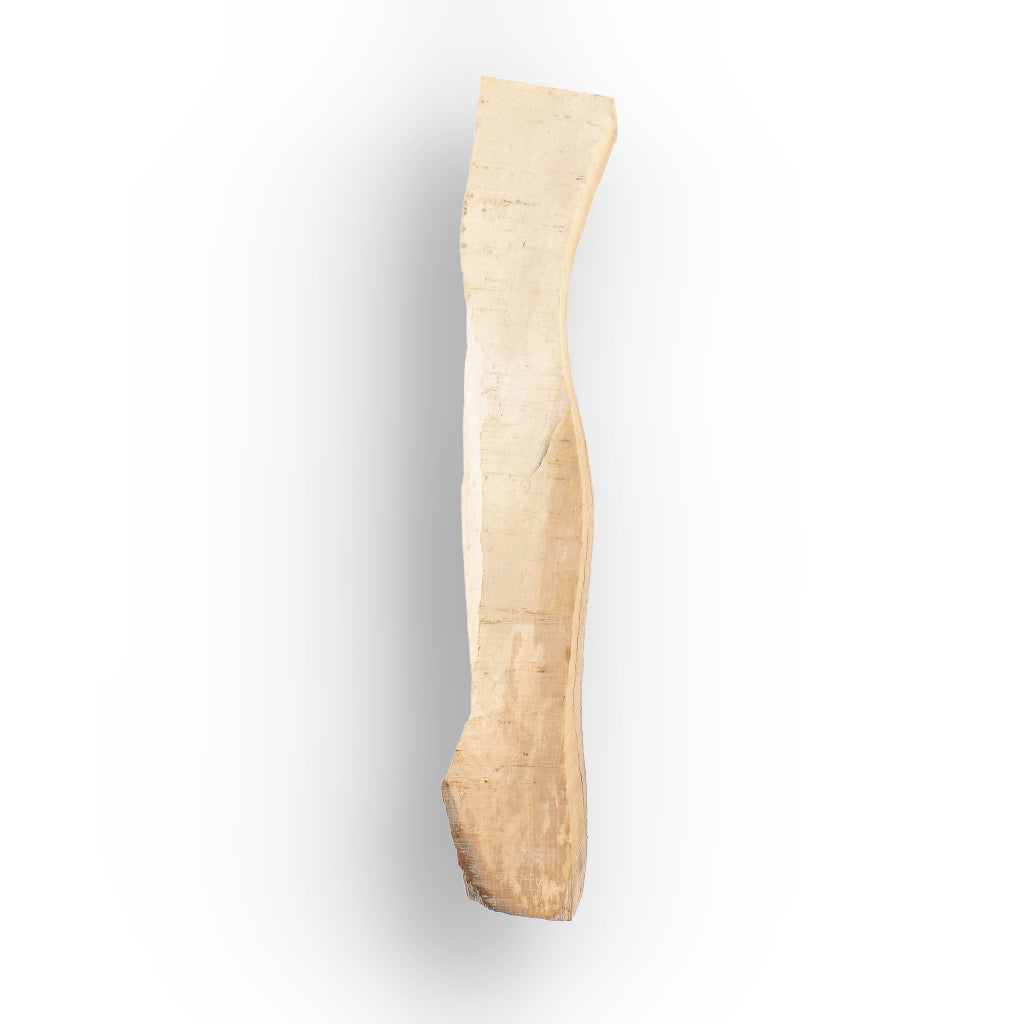 Get your Woolly Mammoth Tusk Fossil Fragment from Alaska USA online now or in store at Forever Gems in Franschhoek, South Africa