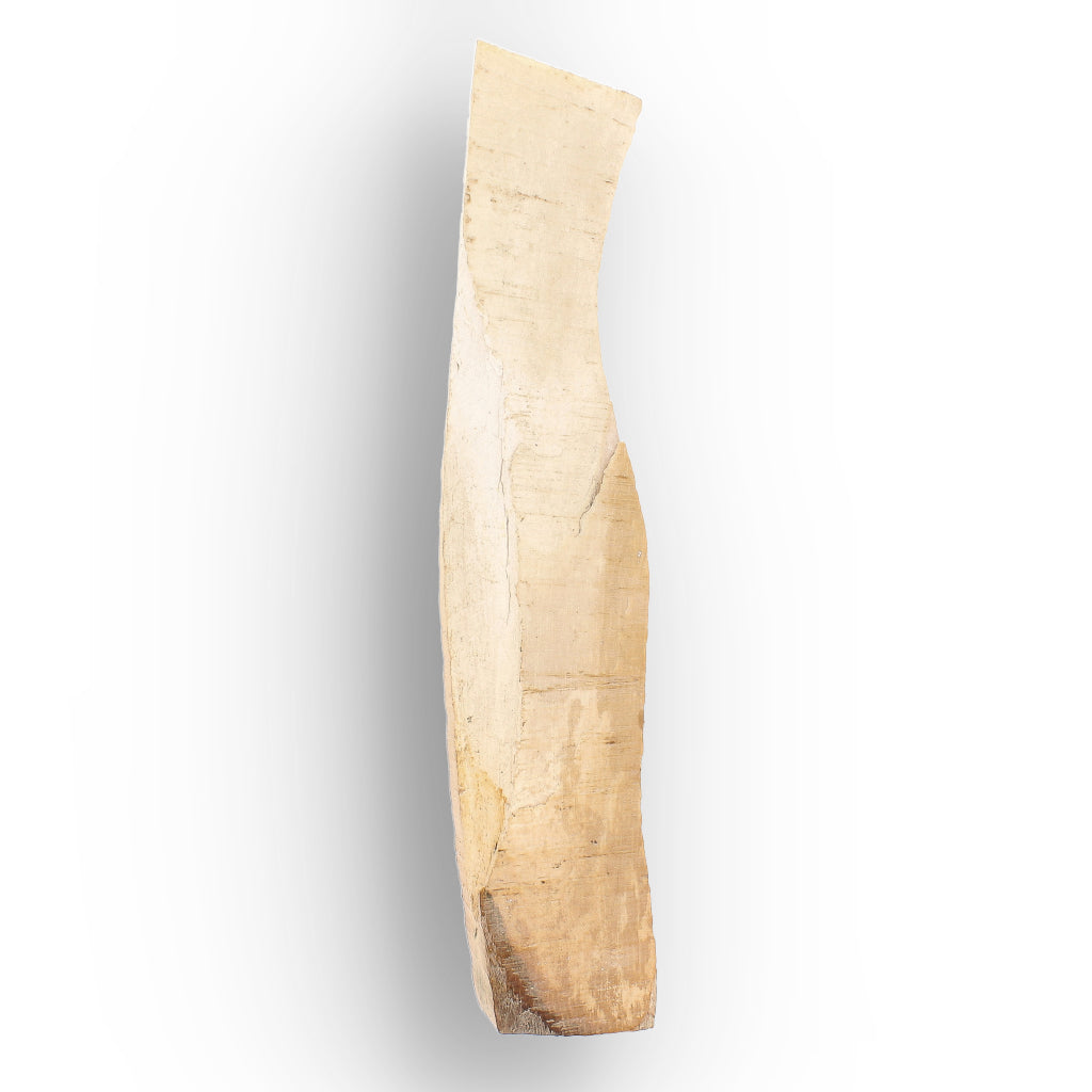 Get your Woolly Mammoth Tusk Fossil Fragment from Alaska USA online now or in store at Forever Gems in Franschhoek, South Africa