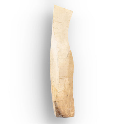Get your Woolly Mammoth Tusk Fossil Fragment from Alaska USA online now or in store at Forever Gems in Franschhoek, South Africa
