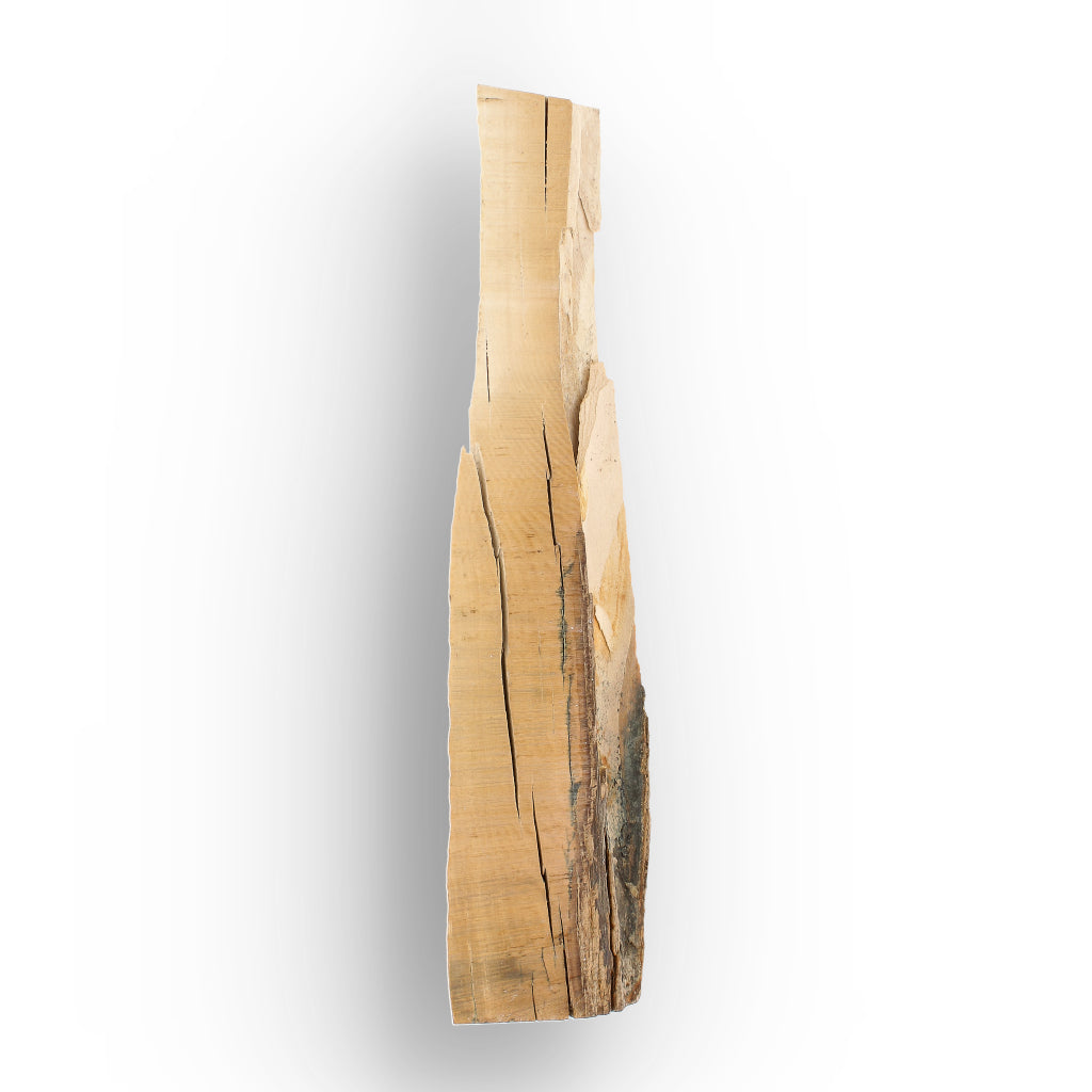 Get your Woolly Mammoth Tusk Fossil Fragment from Alaska USA online now or in store at Forever Gems in Franschhoek, South Africa