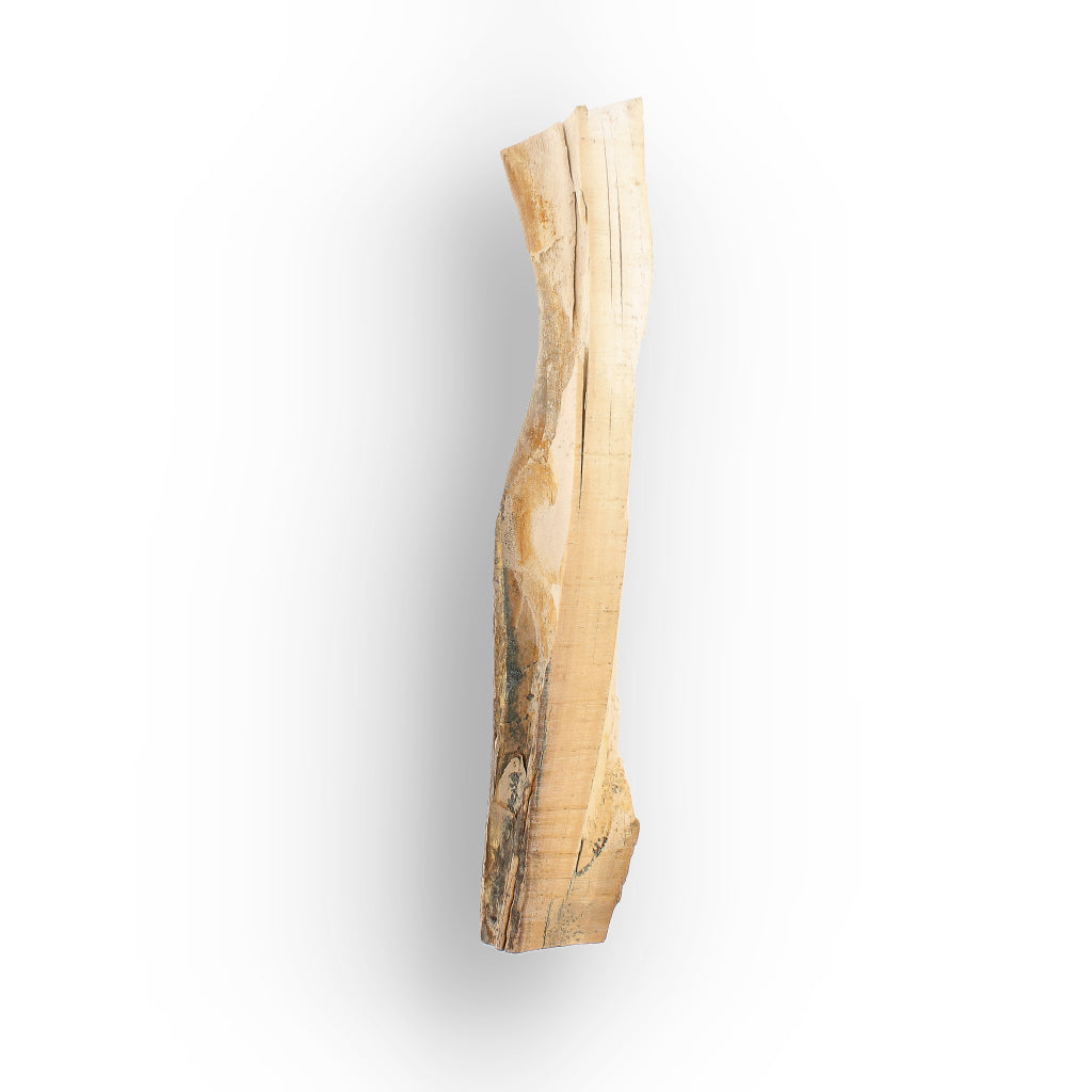 Get your Woolly Mammoth Tusk Fossil Fragment from Alaska USA online now or in store at Forever Gems in Franschhoek, South Africa