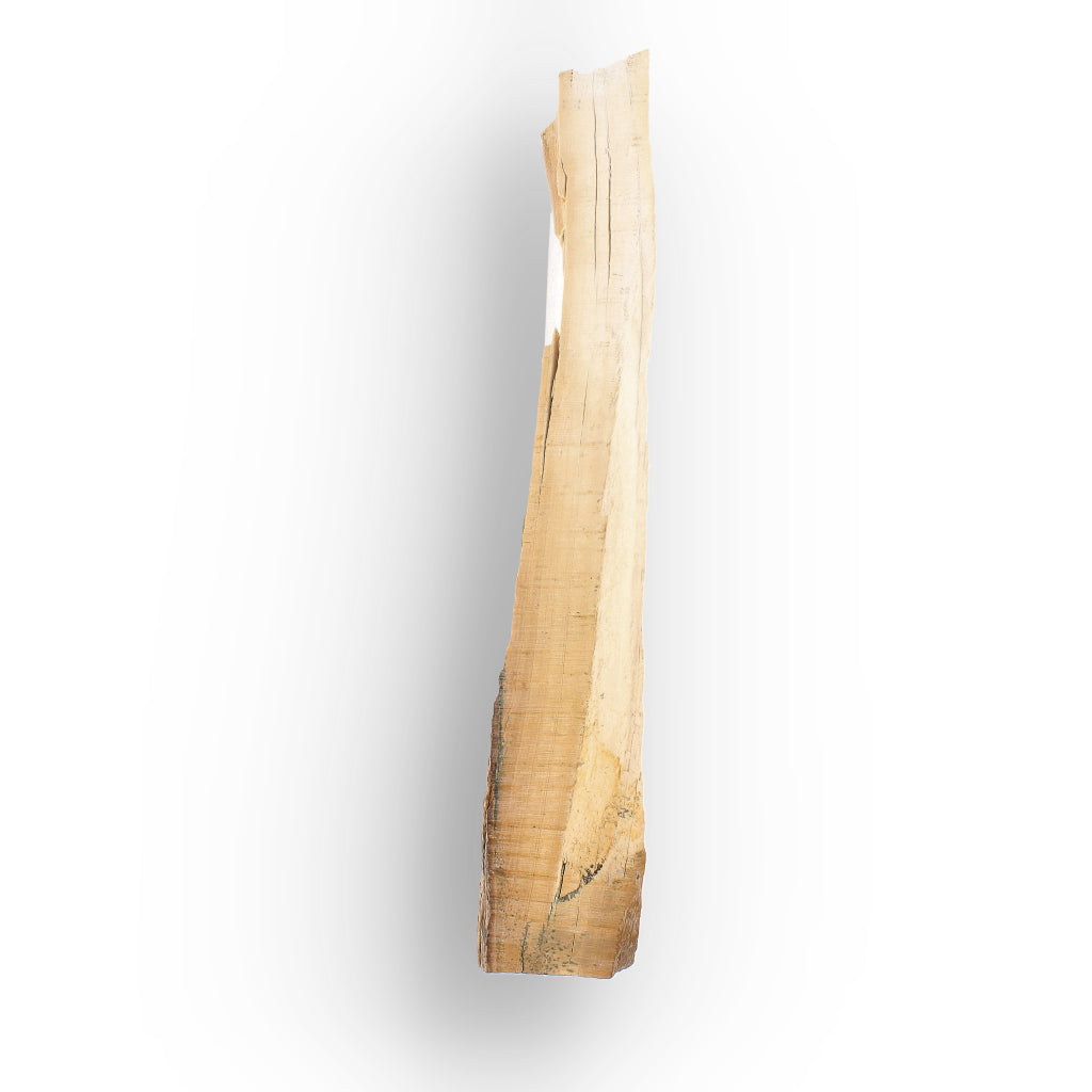 Get your Woolly Mammoth Tusk Fossil Fragment from Alaska USA online now or in store at Forever Gems in Franschhoek, South Africa