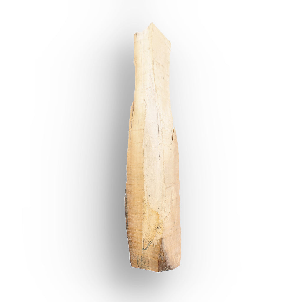 Get your Woolly Mammoth Tusk Fossil Fragment from Alaska USA online now or in store at Forever Gems in Franschhoek, South Africa