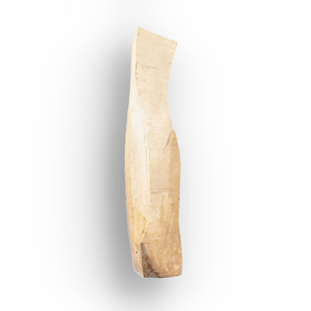 Get your Woolly Mammoth Tusk Fossil Fragment from Alaska USA online now or in store at Forever Gems in Franschhoek, South Africa