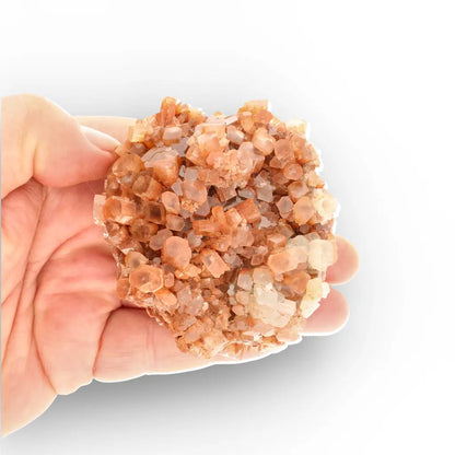Get your Exceptional Moroccan Aragonite Star Cluster with Complex Crystal Growth online now or in store at Forever Gems in Franschhoek, South Africa