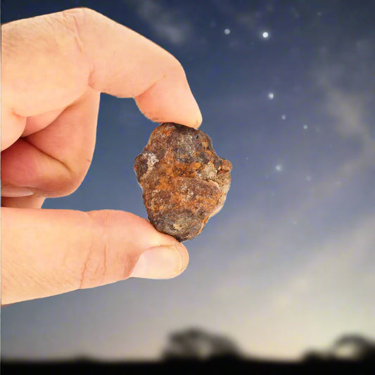 Get your 35g Sericho Pallasite Meteorite – Rare Collectible Meteorite online now or in store at Forever Gems in Franschhoek, South Africa