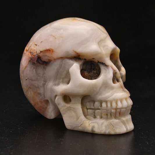Buy your Whimsical Wisdom: Crazy Lace Agate Skull online now or in store at Forever Gems in Franschhoek, South Africa