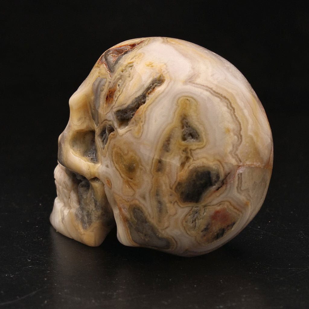 Buy your Whimsical Wisdom: Crazy Lace Agate Skull online now or in store at Forever Gems in Franschhoek, South Africa