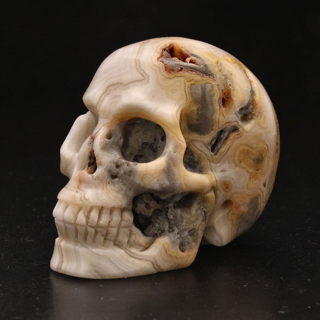 Buy your Whimsical Wisdom: Crazy Lace Agate Skull online now or in store at Forever Gems in Franschhoek, South Africa