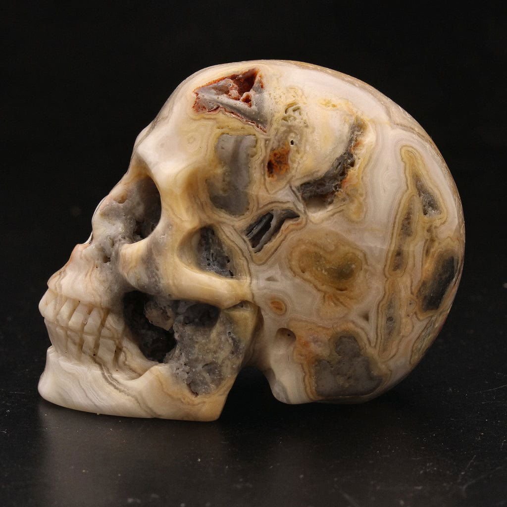 Buy your Whimsical Wisdom: Crazy Lace Agate Skull online now or in store at Forever Gems in Franschhoek, South Africa