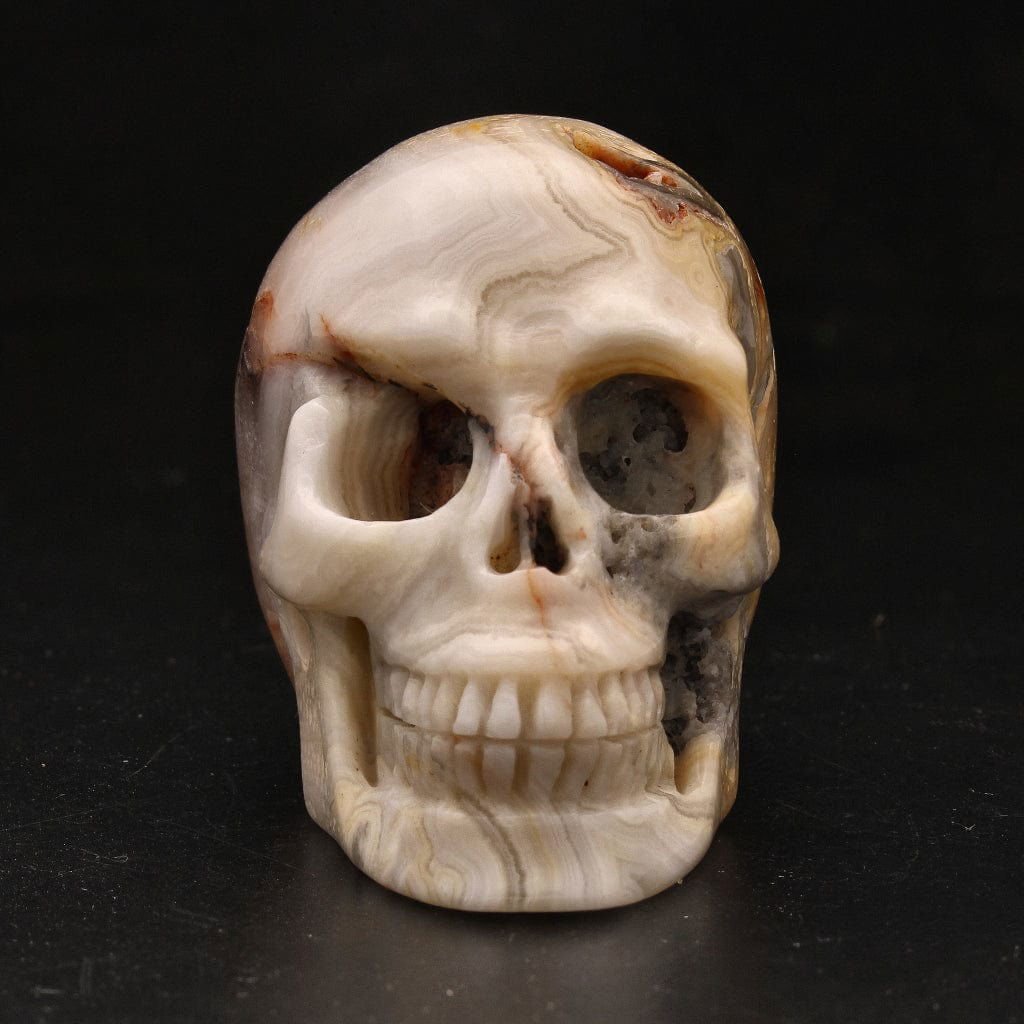 Buy your Whimsical Wisdom: Crazy Lace Agate Skull online now or in store at Forever Gems in Franschhoek, South Africa