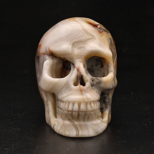 Buy your Whimsical Wisdom: Crazy Lace Agate Skull online now or in store at Forever Gems in Franschhoek, South Africa