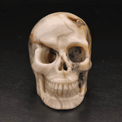 Buy your Whimsical Wisdom: Crazy Lace Agate Skull online now or in store at Forever Gems in Franschhoek, South Africa