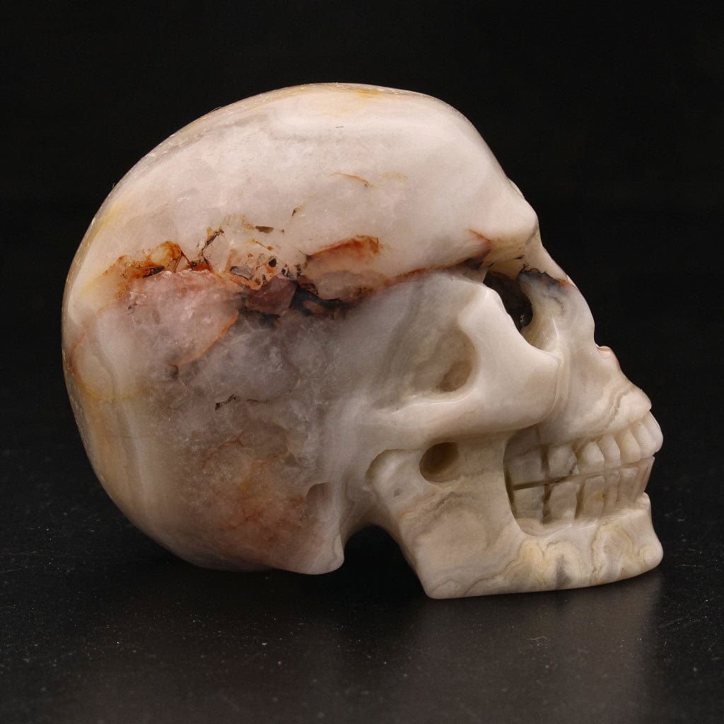 Buy your Whimsical Wisdom: Crazy Lace Agate Skull online now or in store at Forever Gems in Franschhoek, South Africa