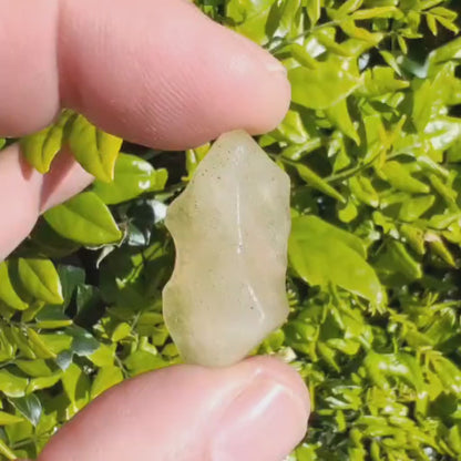 4.9g Natural Libyan Desert Glass Collector's Specimen