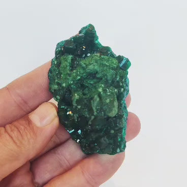Dioptase and Malachite on Matrix – Mindouli, Congo