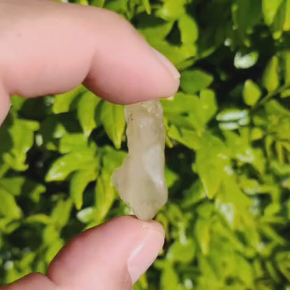 4.3g Natural Libyan Desert Glass Collector's Specimen