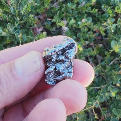 30g Campo del Cielo Meteorite - Authentic Iron Space Rock from Argentina