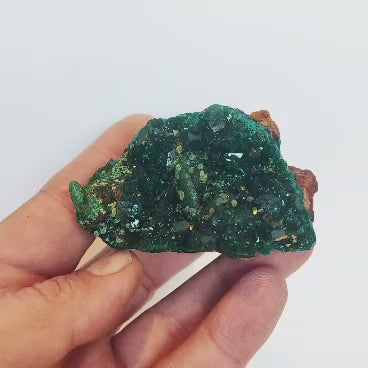 Dioptase and Malachite on Matrix – Mindouli, Congo