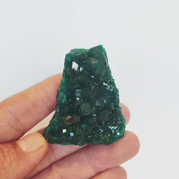 Dioptase Crystal Cluster on Matrix – Congo Mineral Specimen