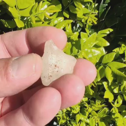 6.6g Natural Libyan Desert Glass Collector's Specimen