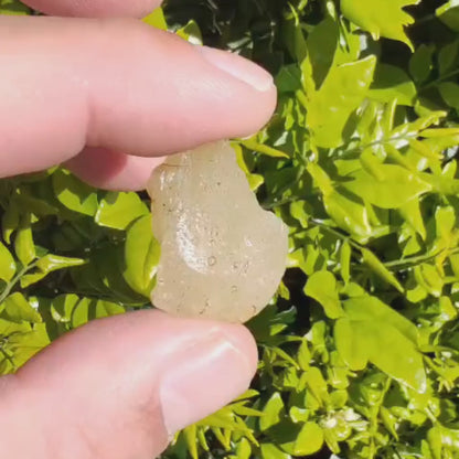 5.2g Natural Libyan Desert Glass Collector's Specimen