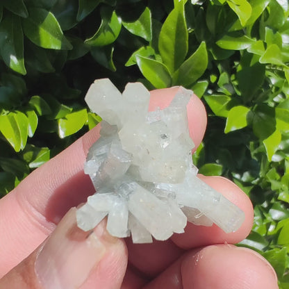 Transparent Goshenite Cluster on Matrix –  Erongo Region, Namibia