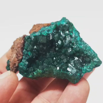 Dioptase Crystal Cluster on Matrix – Mindouli, Congo