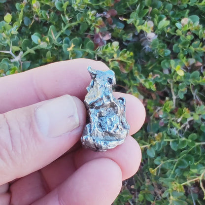 20g Campo del Cielo Meteorite - Genuine IAB Iron Nickel Specimen