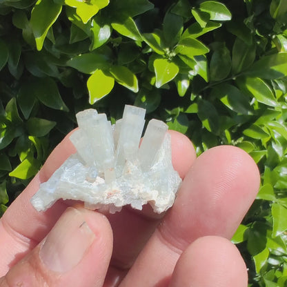 Goshenite on Feldspar Matrix – Erongo Mountains, Namibia