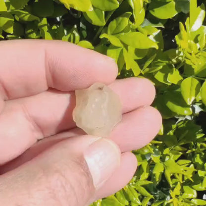 7.3g Natural Libyan Desert Glass Collector's Specimen