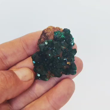 Dioptase from Congo Natural Crystal Mineral Specimen