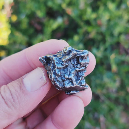 50g Authentic Campo del Cielo Space Relic – Collector’s Slice of Outer Space