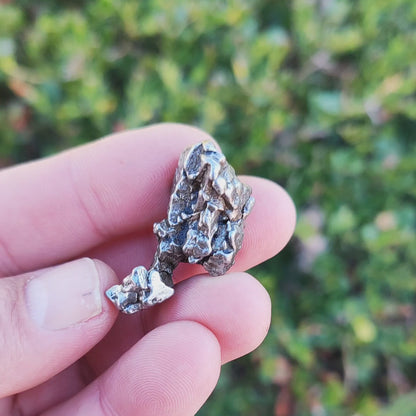 28g Authentic Campo del Cielo Space Relic – Hold a Star in Your Hand