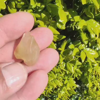 4.8g Natural Libyan Desert Glass Collector's Specimen