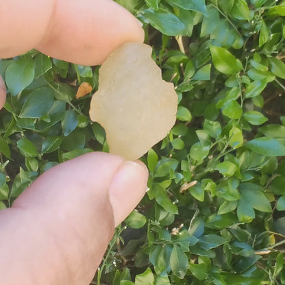 8g Libyan Desert Glass Genuine Geological Find Metaphysical Collector Item