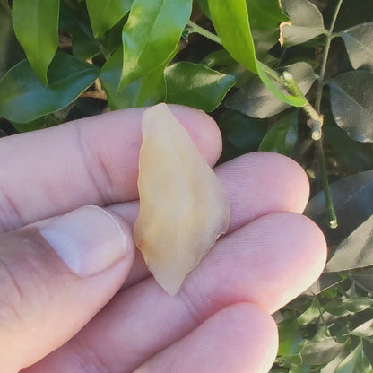 4g Libyan Desert Glass - Honey-Colored Impact Glass from the Sahara's Hidden Treasure
