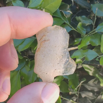 7g Libyan Desert Glass - Translucent Yellow Silica Glass from Egypt's Mysterious Crater