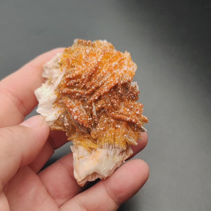 Vanadinite Crystals on Barite