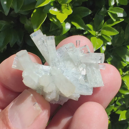 Erongo Goshenite Crystal Group on Matrix