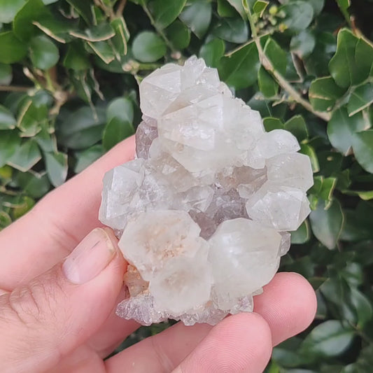 Prasiolite on Amethyst: Riemvasmaak's Green and Purple Marvel