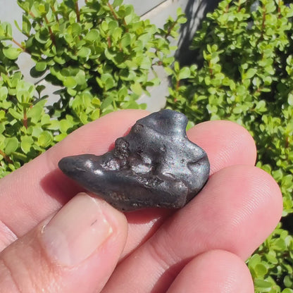 21g Gibeon IVA Iron Meteorite - 4 Billion Year Space Specimen