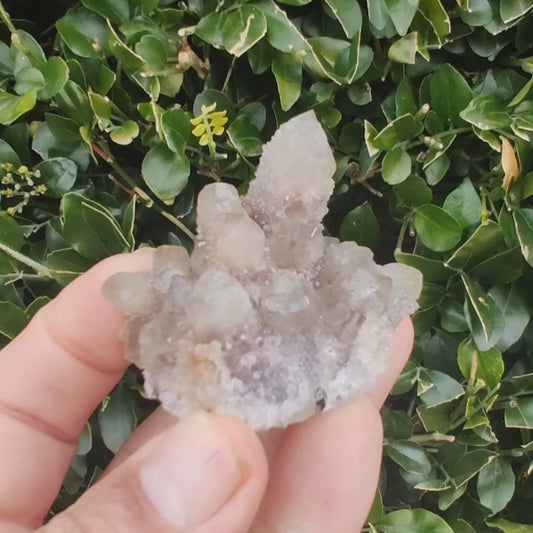 Riemvasmaak Prasiolite on Amethyst: Nature's Dual Beauty