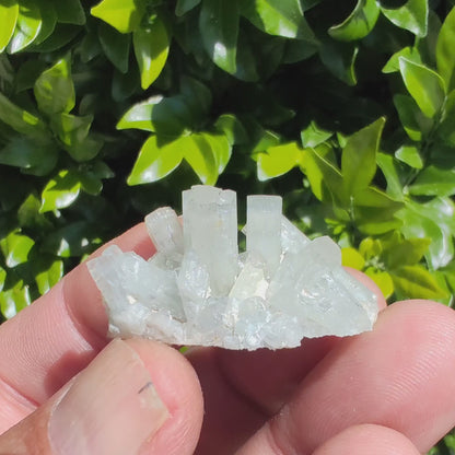 Goshenite Crystals on Matrix – Erongo Mountains, Namibia