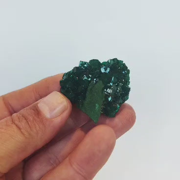 Dioptase with Malachite from Congo Crystal Specimen
