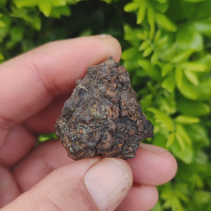 37g Sericho Pallasite Meteorite – Rough Pallasite Meteorite