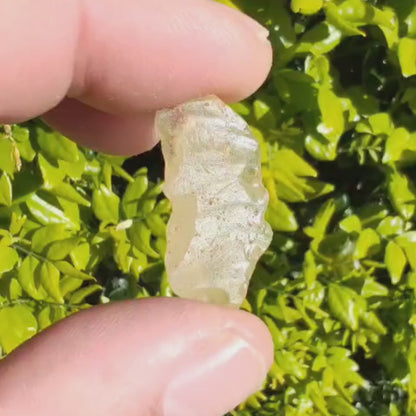 3.1g Natural Libyan Desert Glass Collector's Specimen